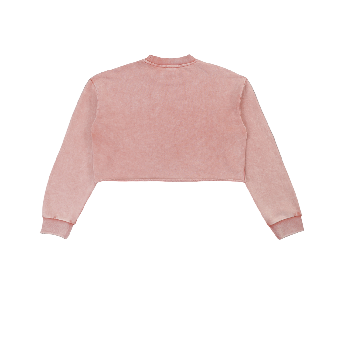 OVERLOAD CROP SS