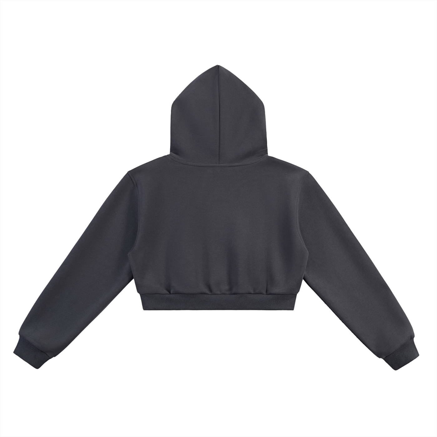HEARTBREAKER CROP HOODIE - W
